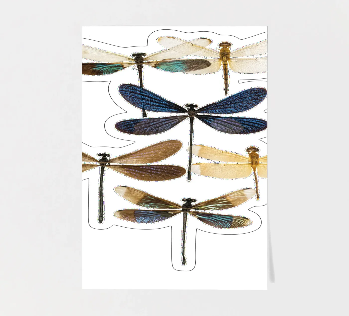 Libellen Stickerbogen von Curious Collections by Marielle Leenders