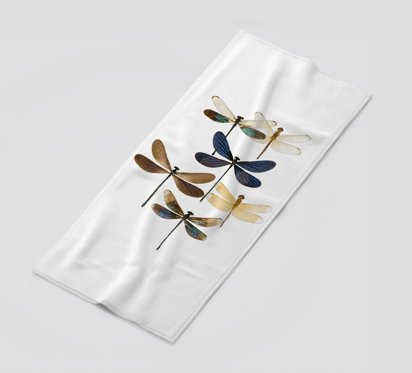 Libellule telo mare da Curious Collections by Marielle Leenders