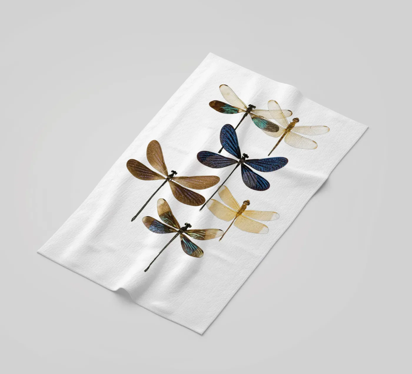 Libellule telo mare da Curious Collections by Marielle Leenders