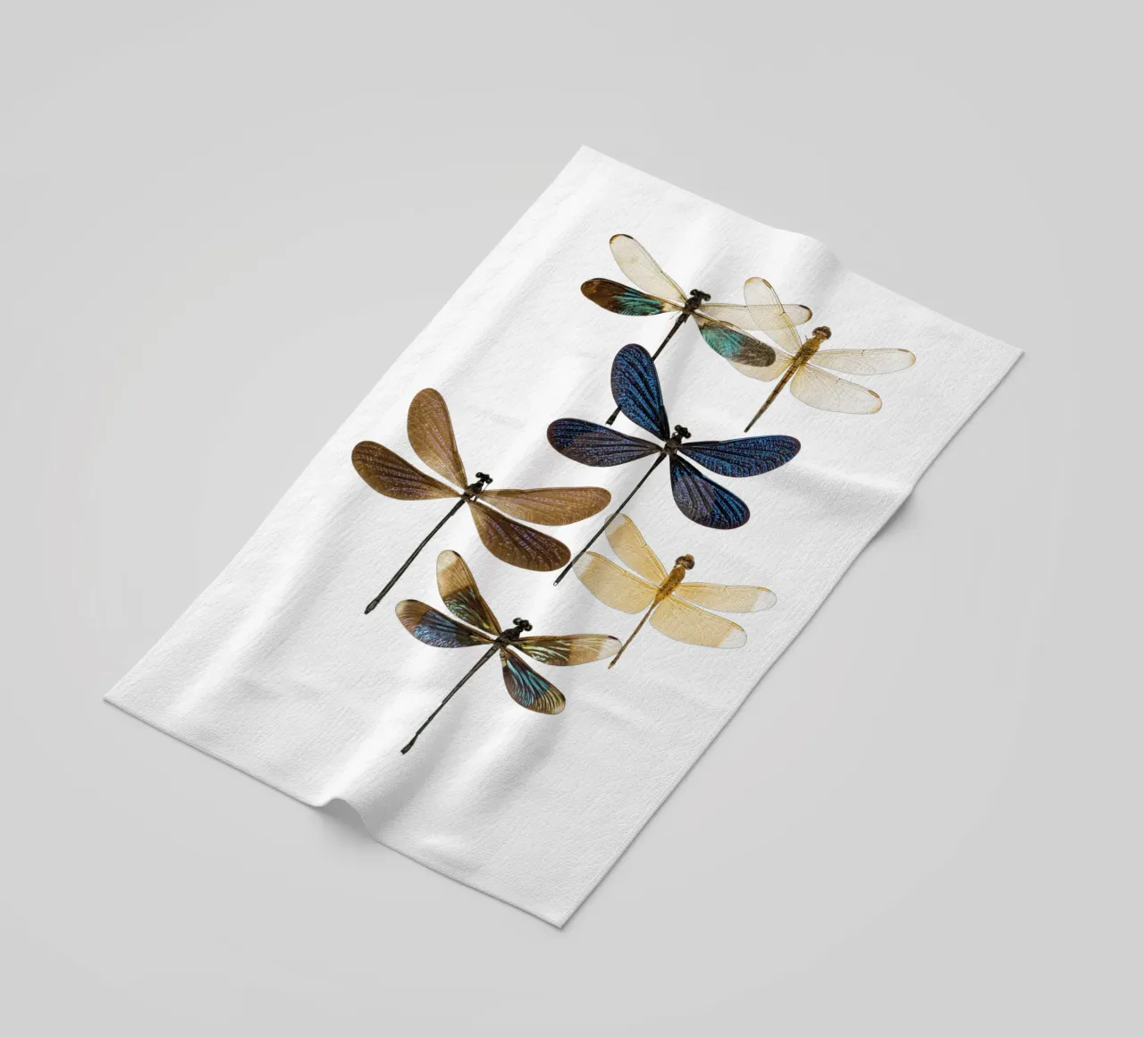 Libellule telo mare da Curious Collections by Marielle Leenders