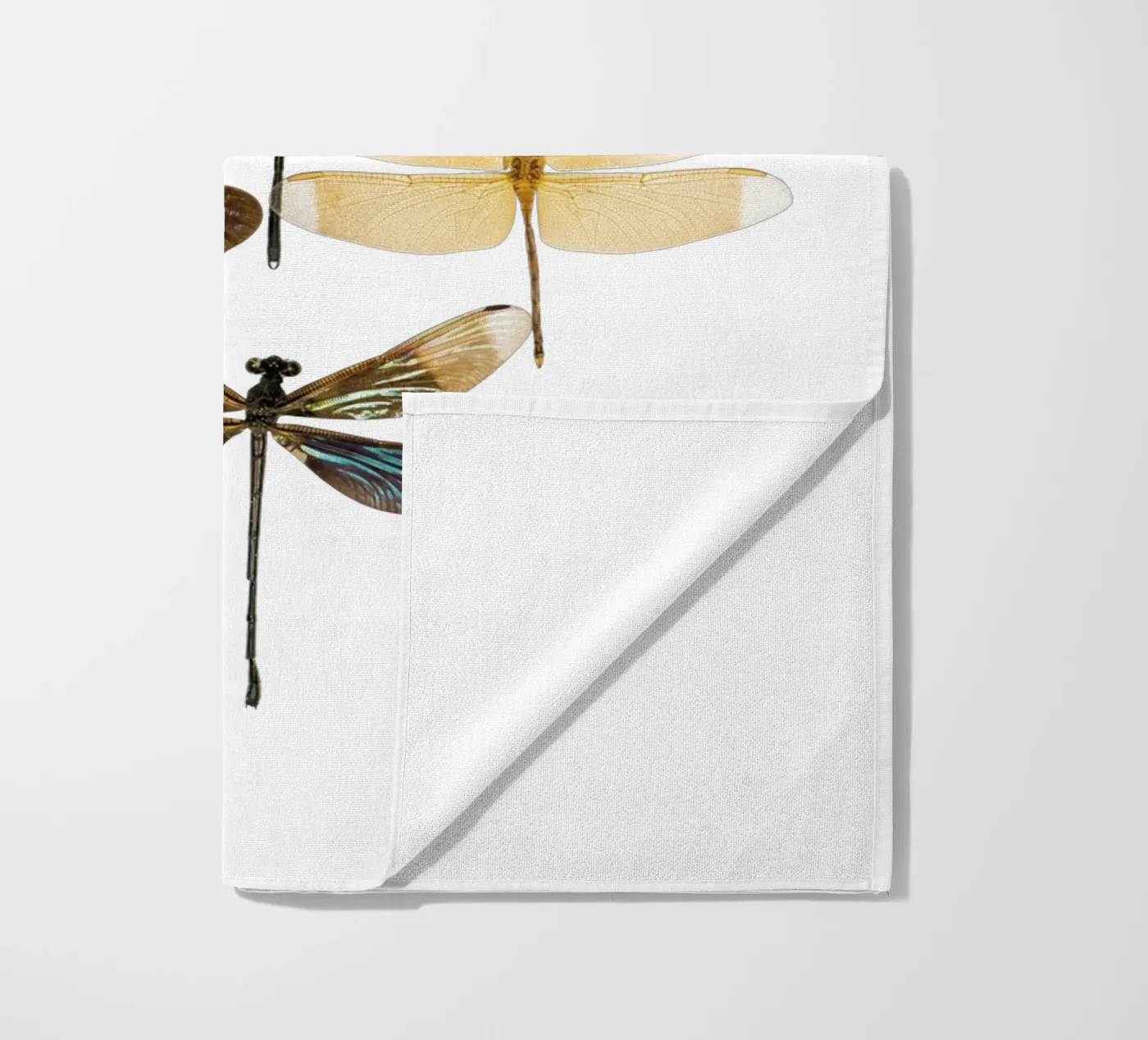 Libellule telo mare da Curious Collections by Marielle Leenders