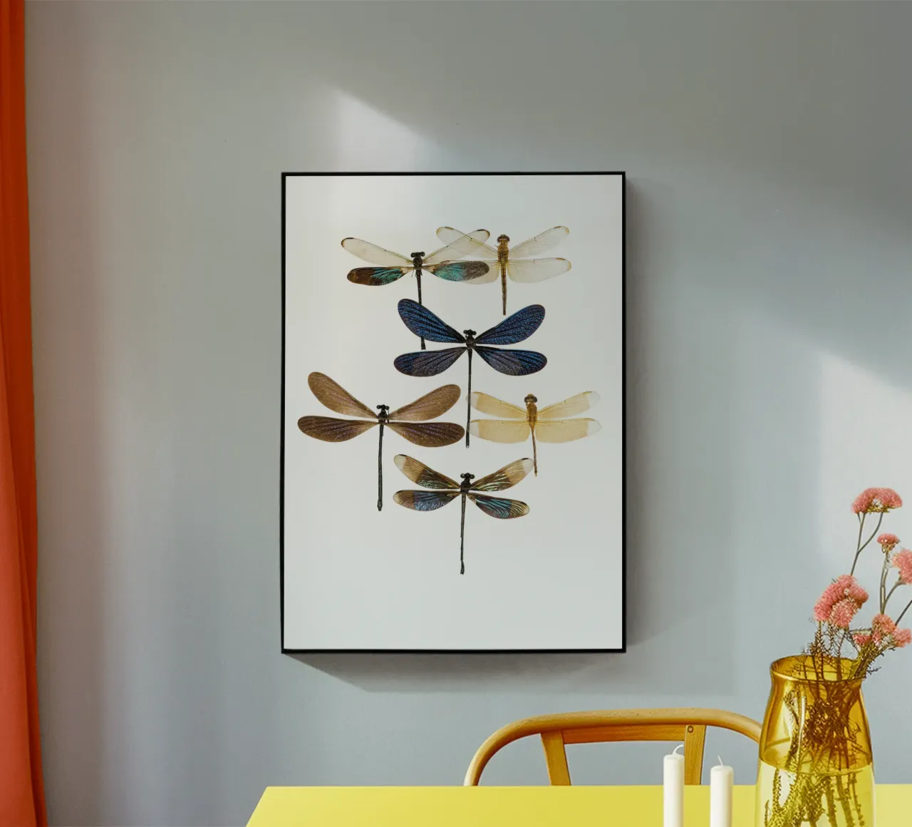 Libellule plexiglass da Curious Collections by Marielle Leenders