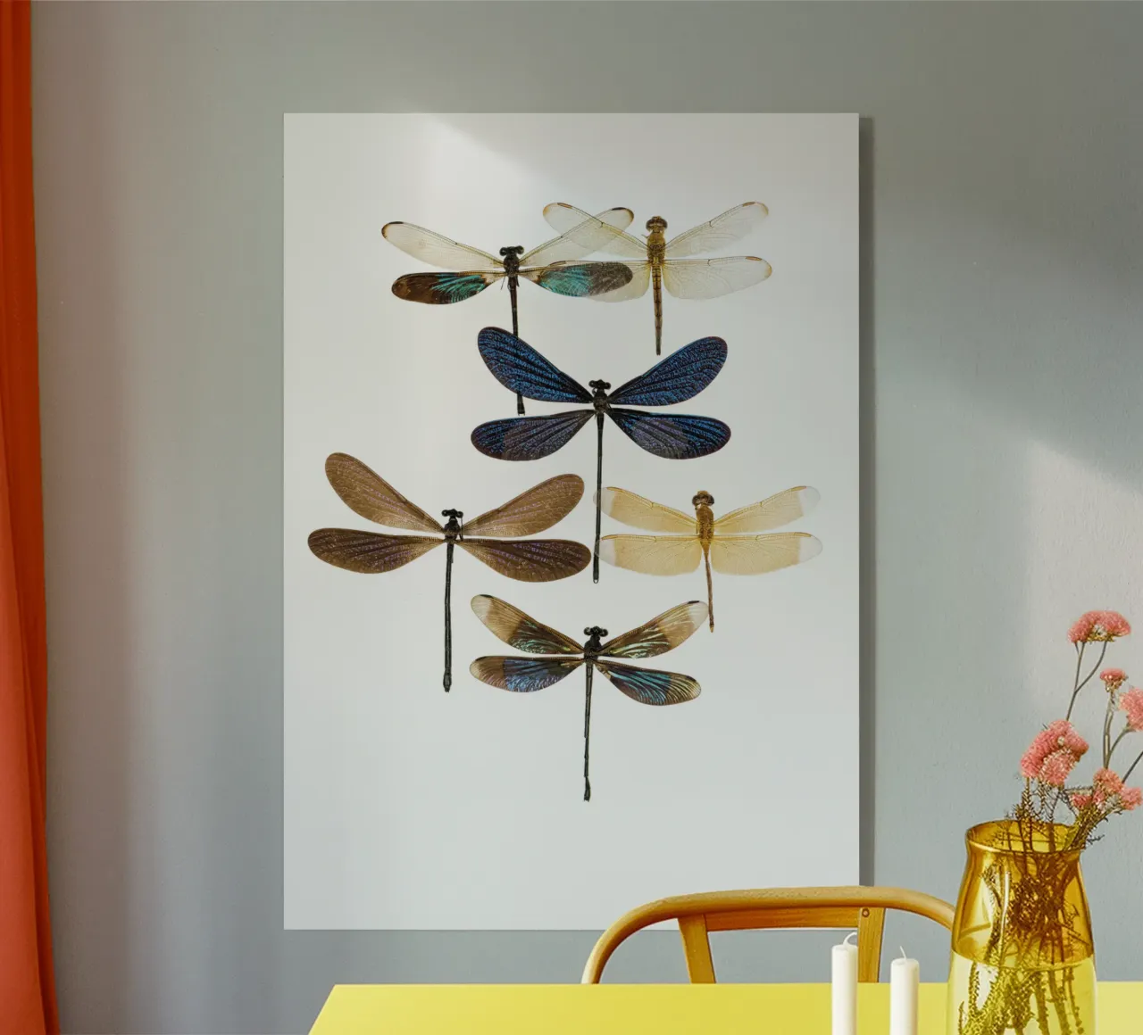 Libellule plexiglass da Curious Collections by Marielle Leenders