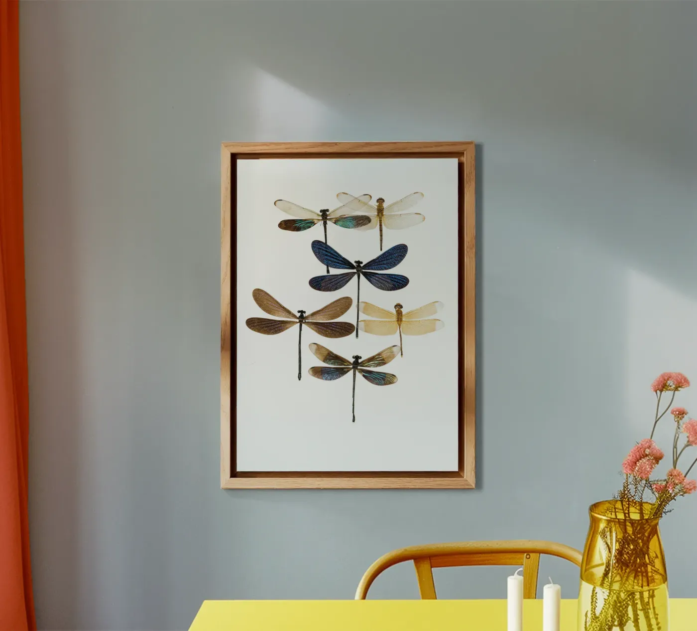 Libellen forex-plaat van Curious Collections by Marielle Leenders