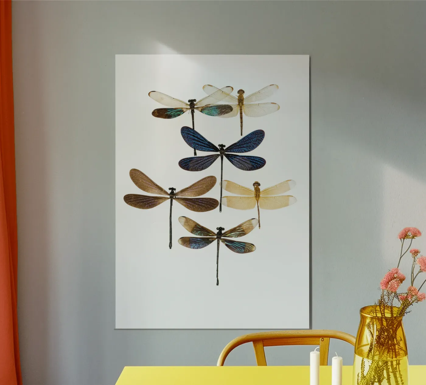 Libellules poster de Curious Collections by Marielle Leenders