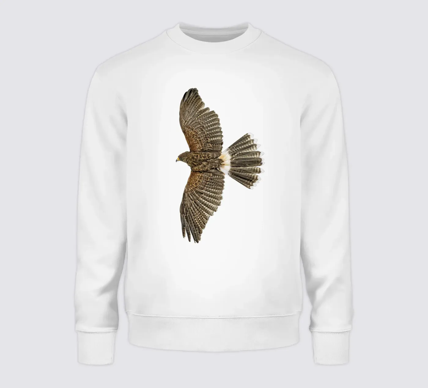 Soaring Eagle sweat de Curious Collections by Marielle Leenders