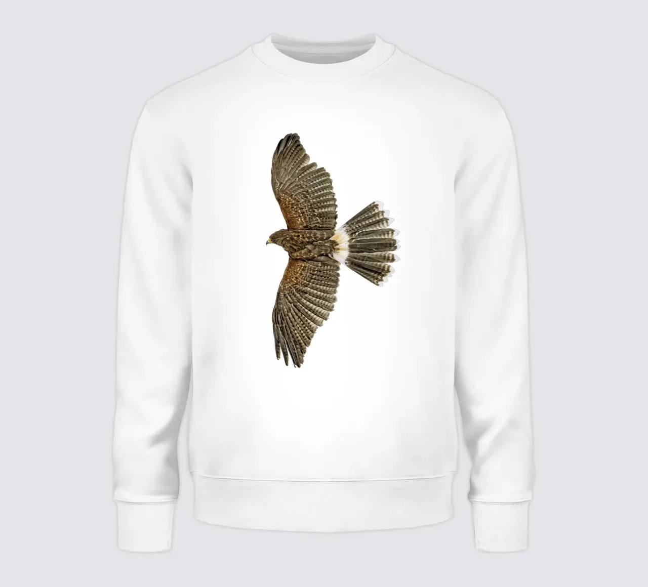 Aquila in volo felpa da Curious Collections by Marielle Leenders