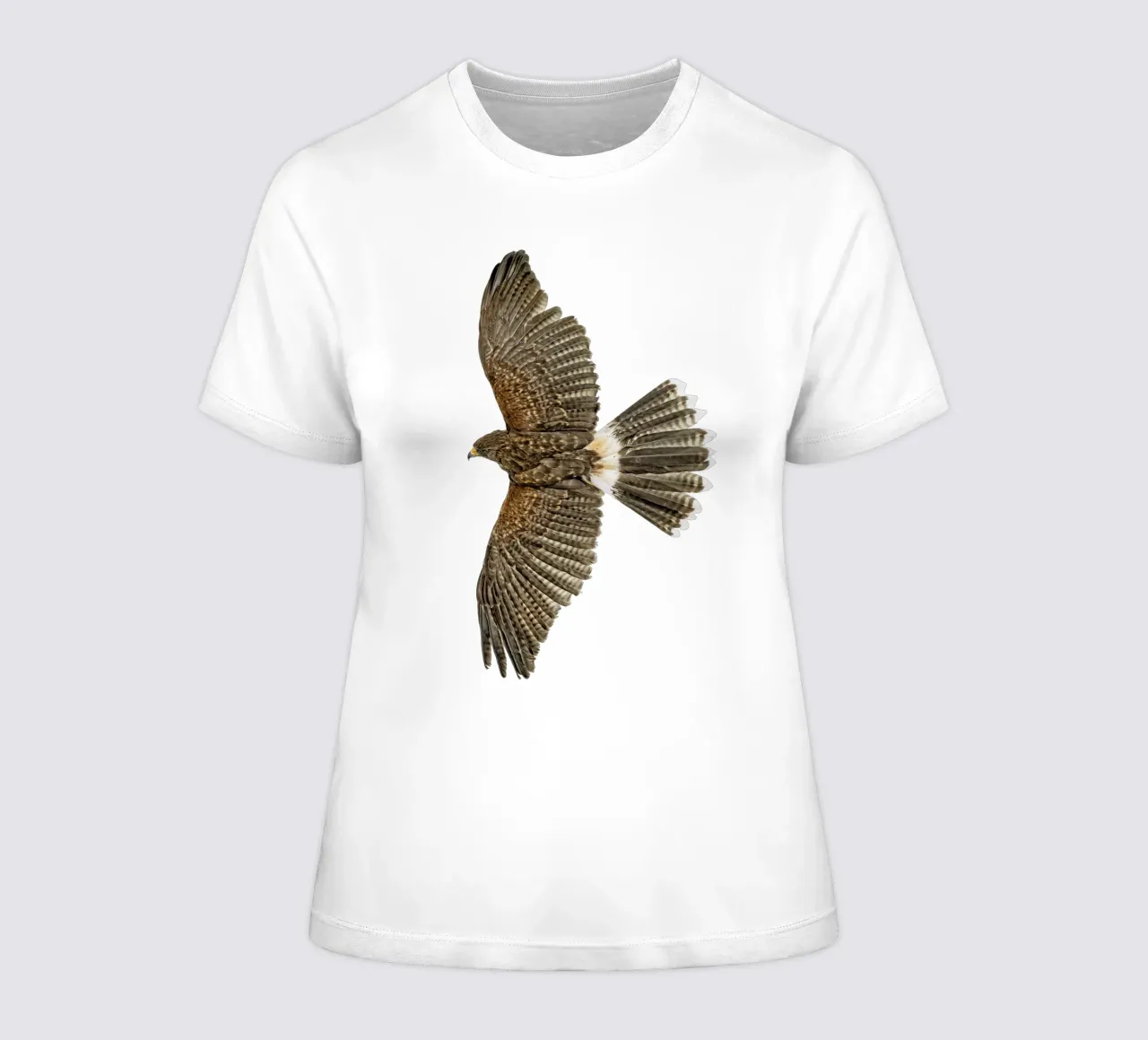 Soaring Eagle women's fitted t-shirt by Curious Collections by Marielle Leenders