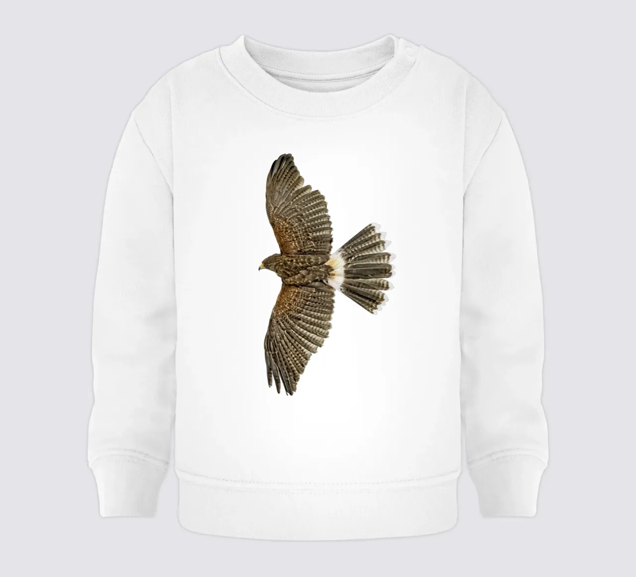 Aquila in volo felpa neonato da Curious Collections by Marielle Leenders