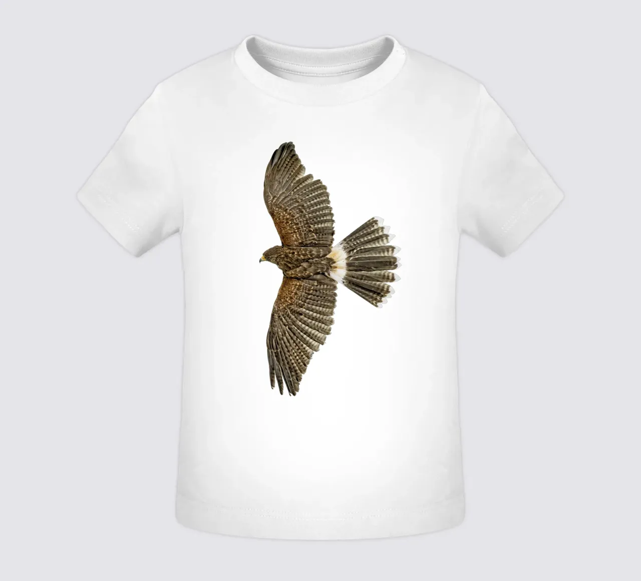 Soaring Eagle baby t-shirt by Curious Collections by Marielle Leenders