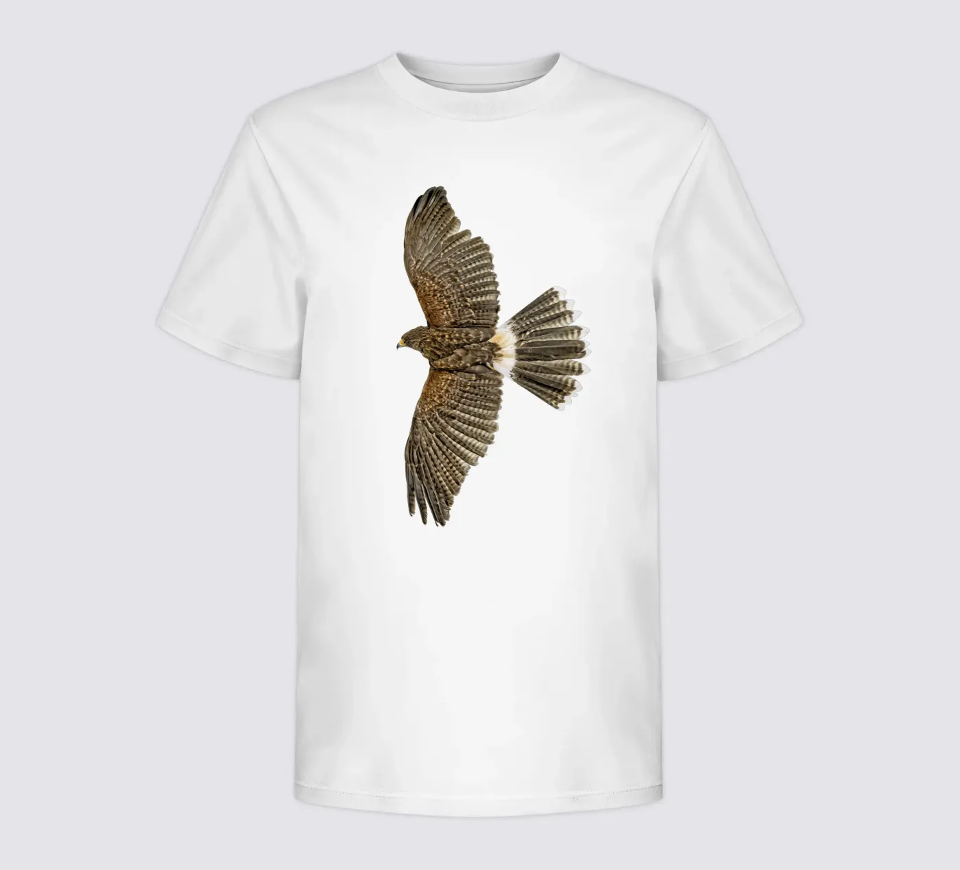 Seeadler Kinder T-Shirt von Curious Collections by Marielle Leenders
