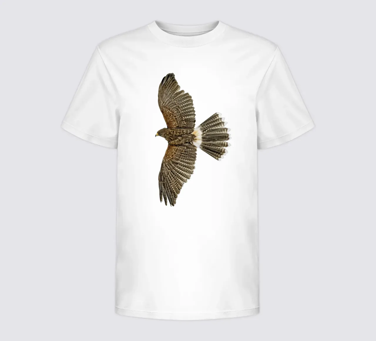 Seeadler Kinder T-Shirt von Curious Collections by Marielle Leenders