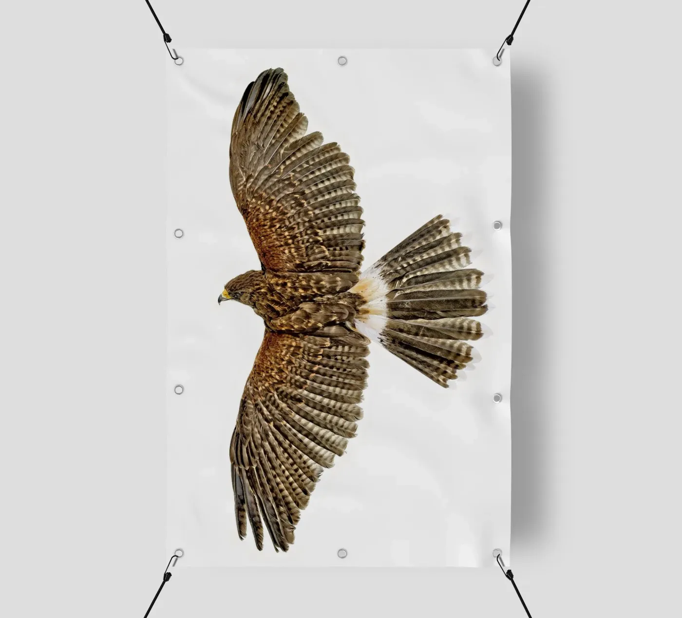 Seeadler PVC Plane von Curious Collections by Marielle Leenders