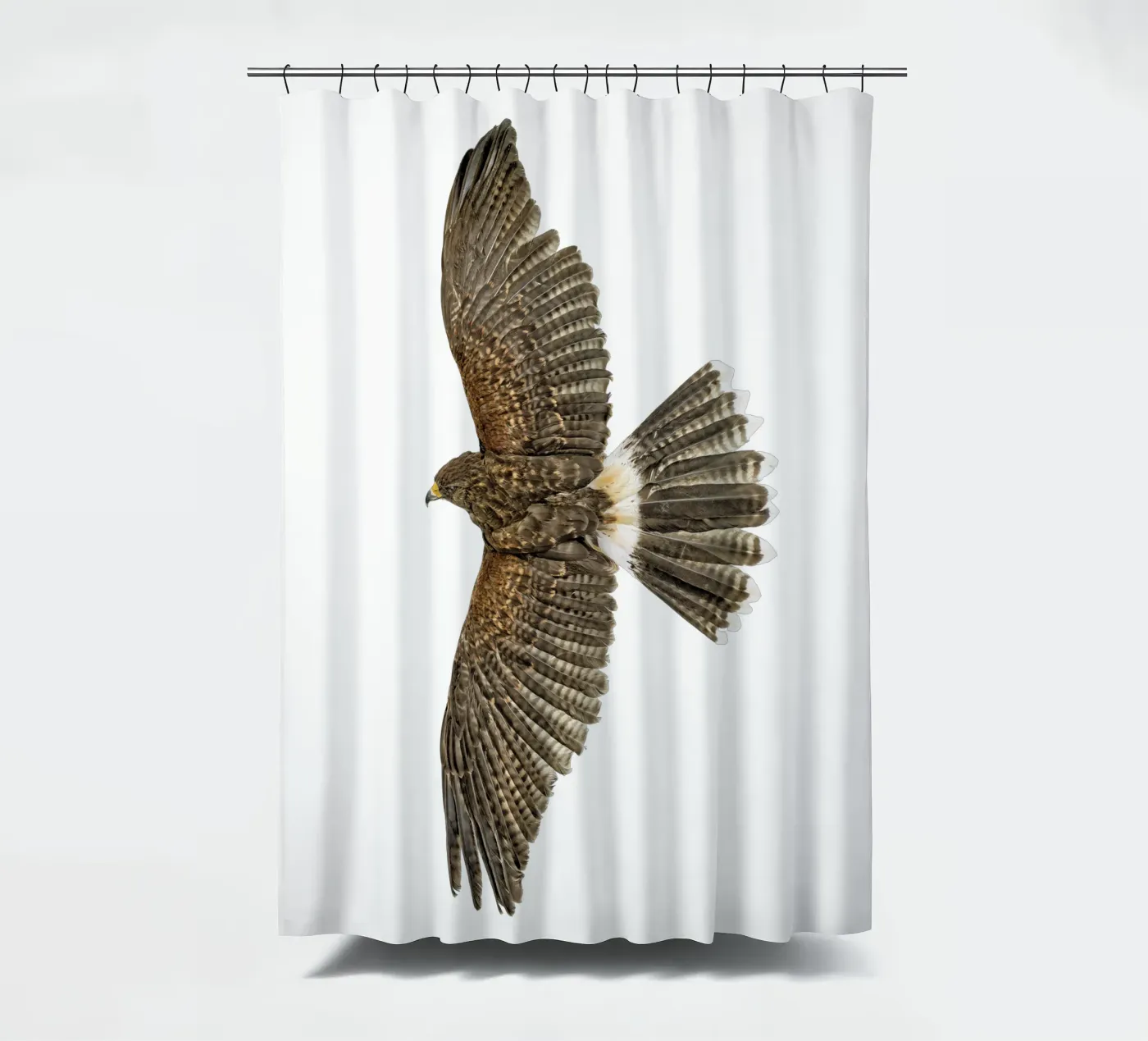 Soaring Eagle rideau de douche de Curious Collections by Marielle Leenders