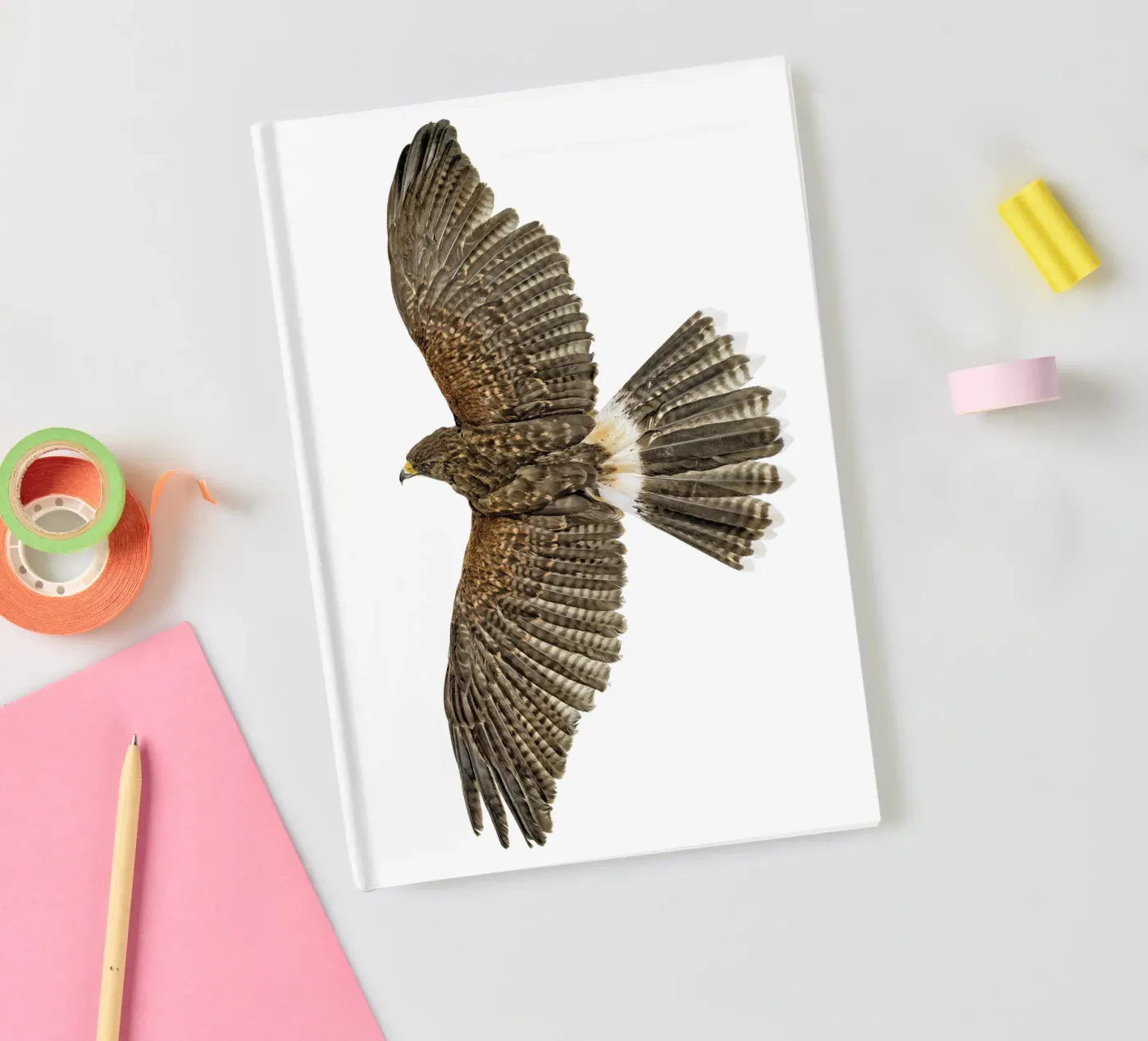 Aquila in volo diario da Curious Collections by Marielle Leenders