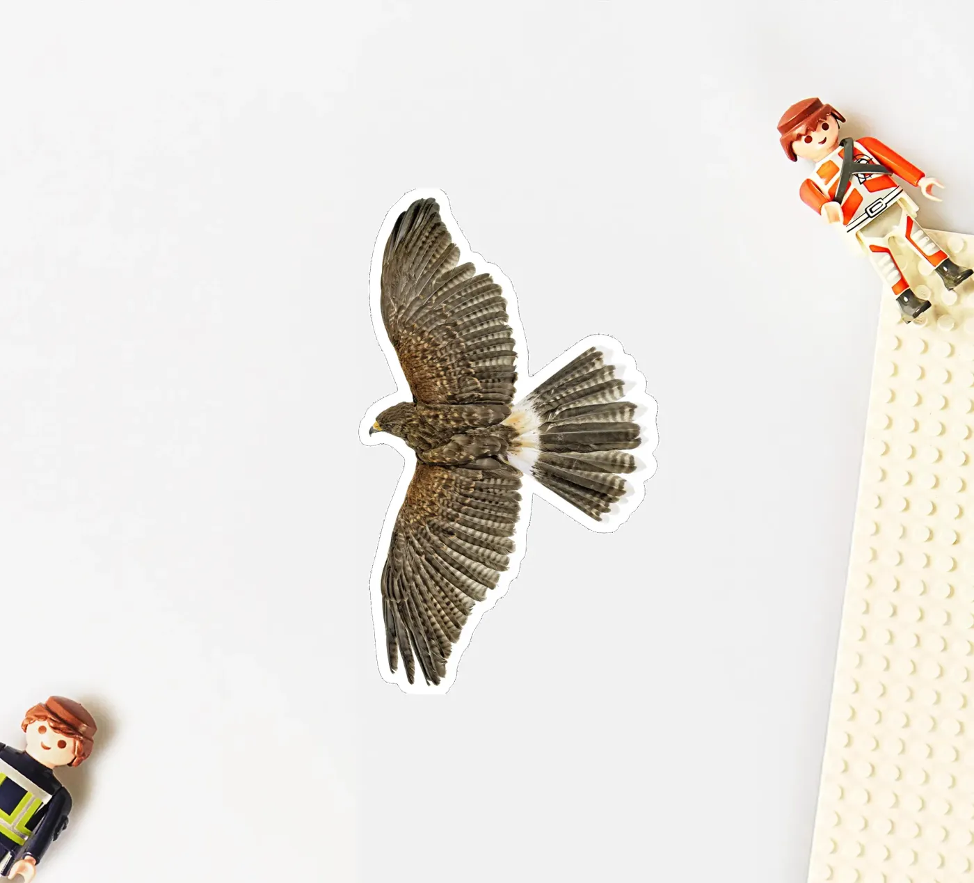 Seeadler Sticker von Curious Collections by Marielle Leenders