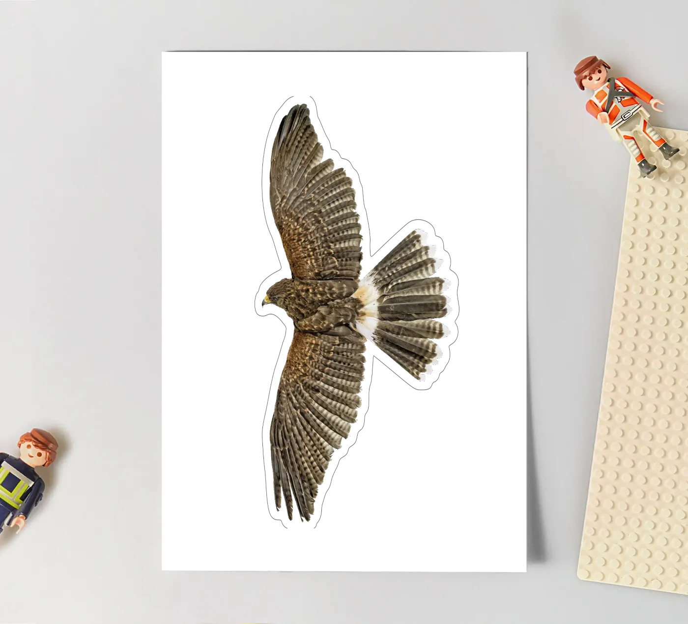 Aquila in volo foglio adesivo da Curious Collections by Marielle Leenders