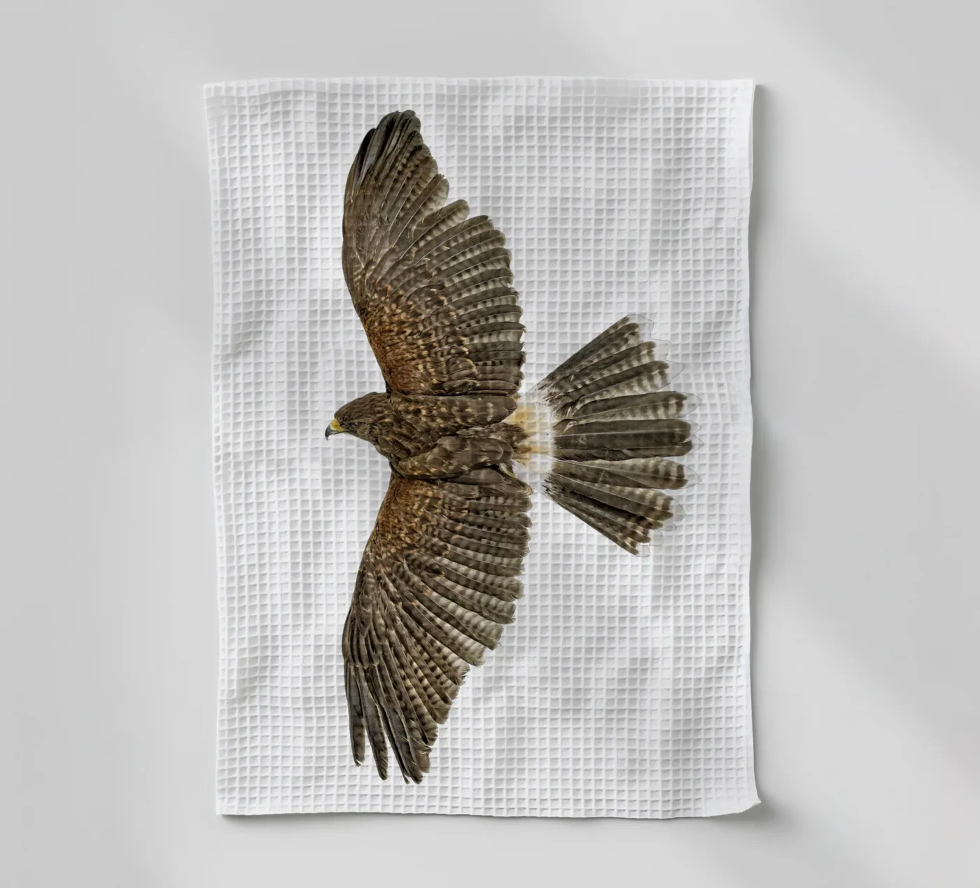Seeadler Geschirrtuch von Curious Collections by Marielle Leenders