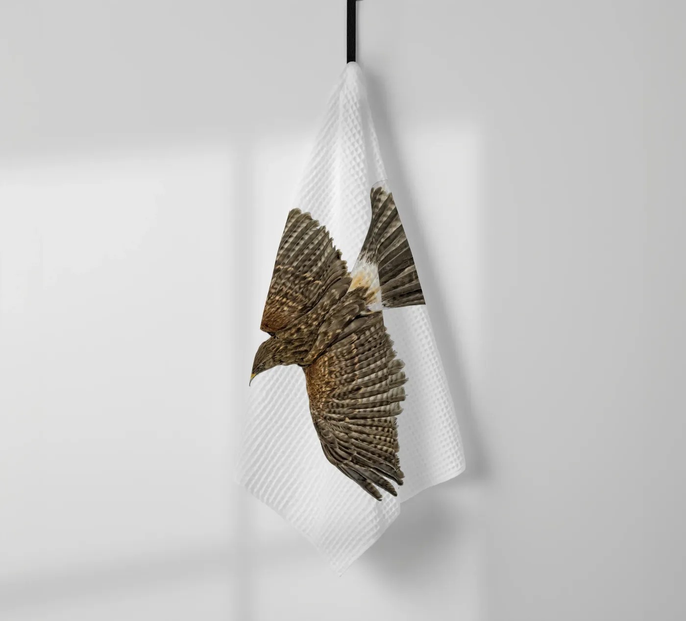 Seeadler Geschirrtuch von Curious Collections by Marielle Leenders