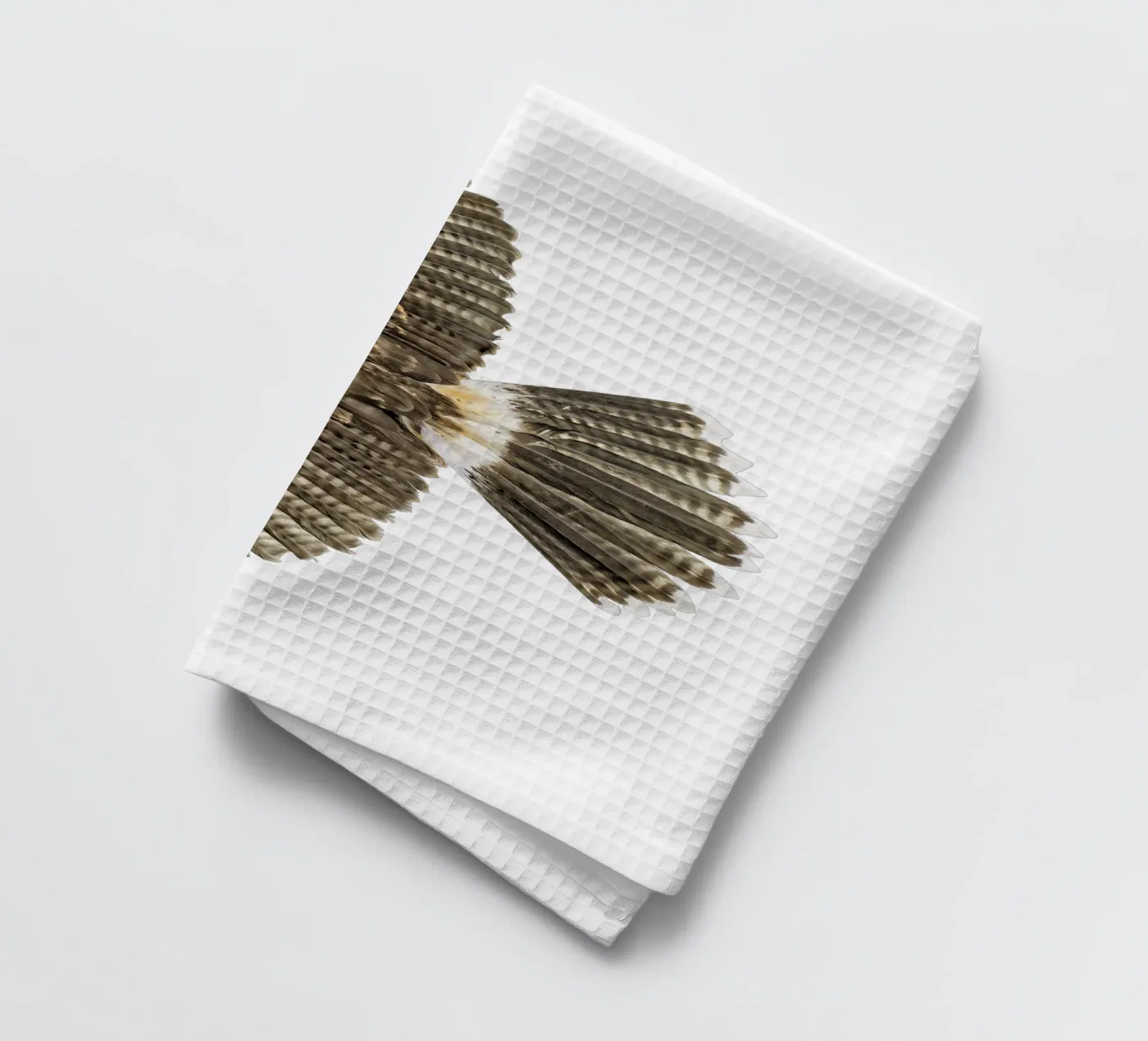 Seeadler Geschirrtuch von Curious Collections by Marielle Leenders