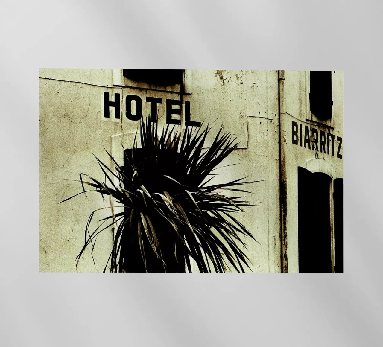 Fragile pellicola backlit da Sophie Etchart