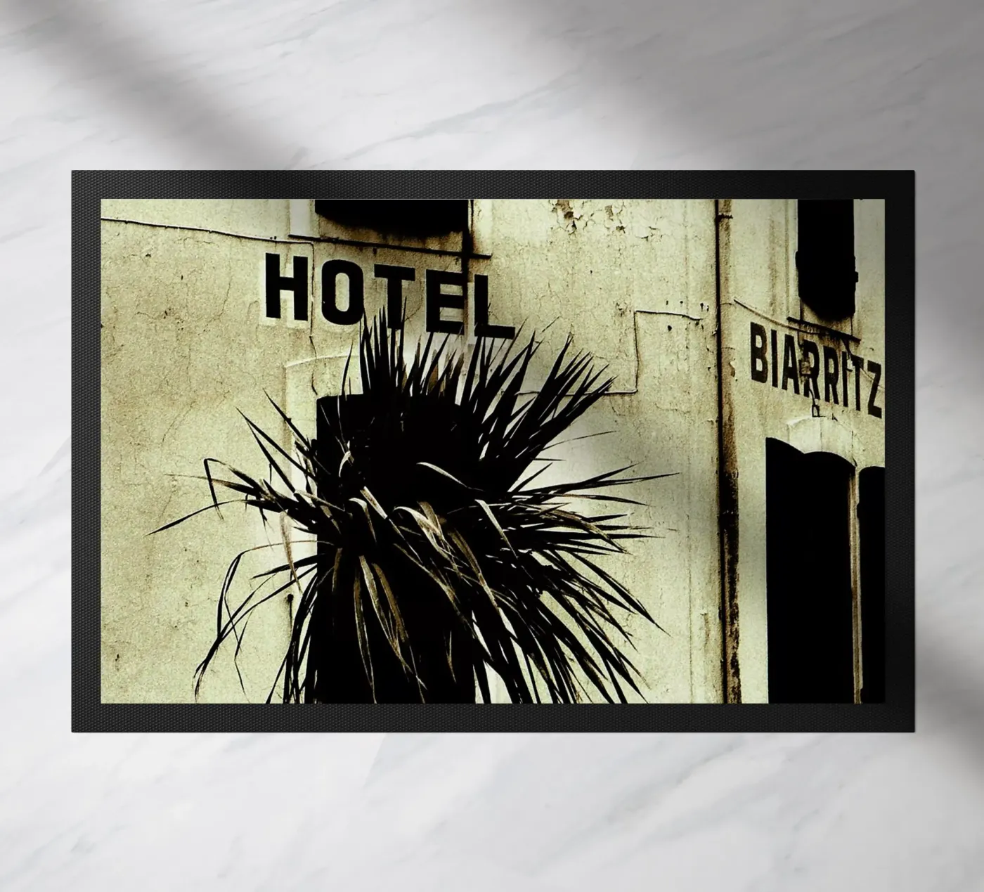 Fragile zerbino da Sophie Etchart