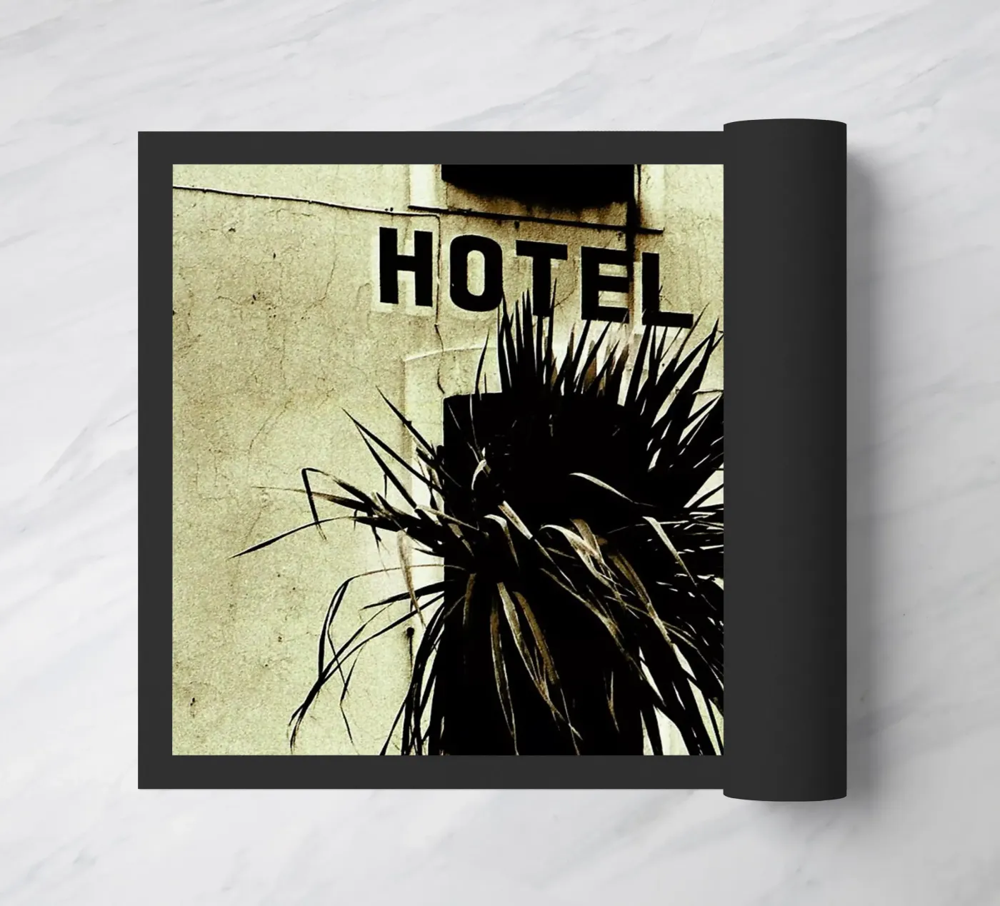 Fragile zerbino da Sophie Etchart