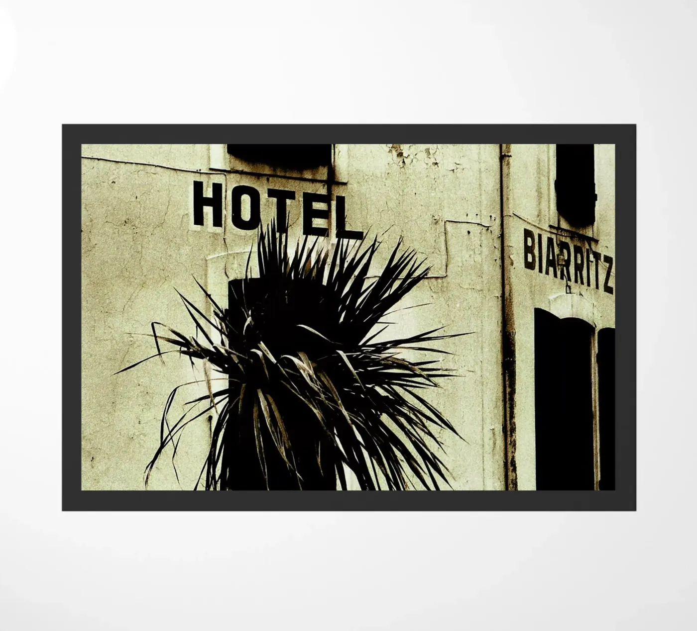 Fragile zerbino da Sophie Etchart