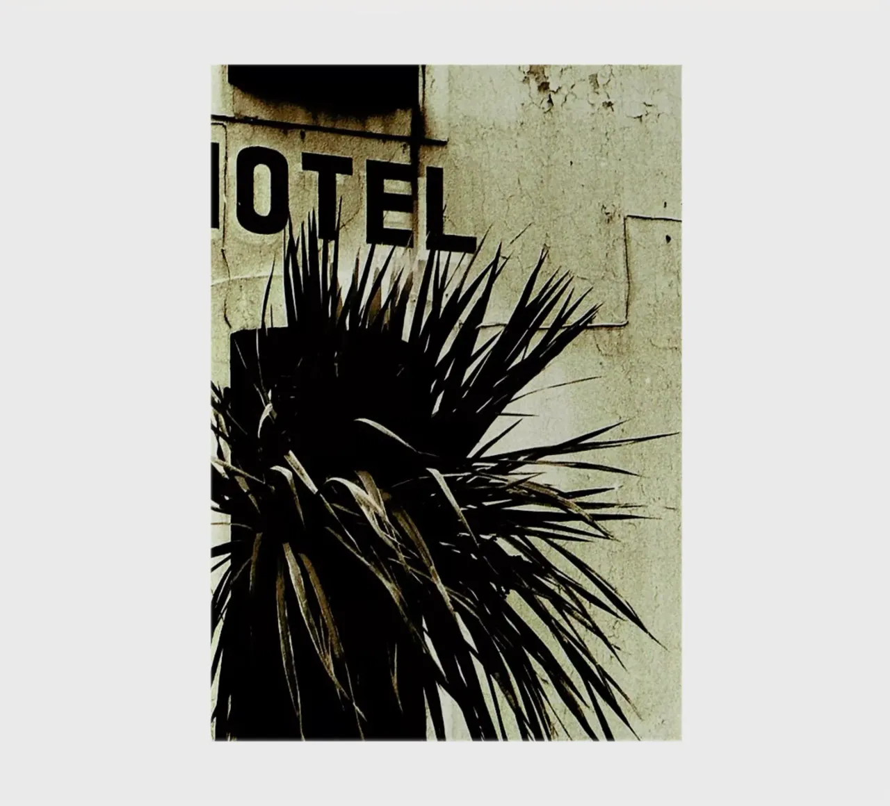 Fragile notebook by Sophie Etchart