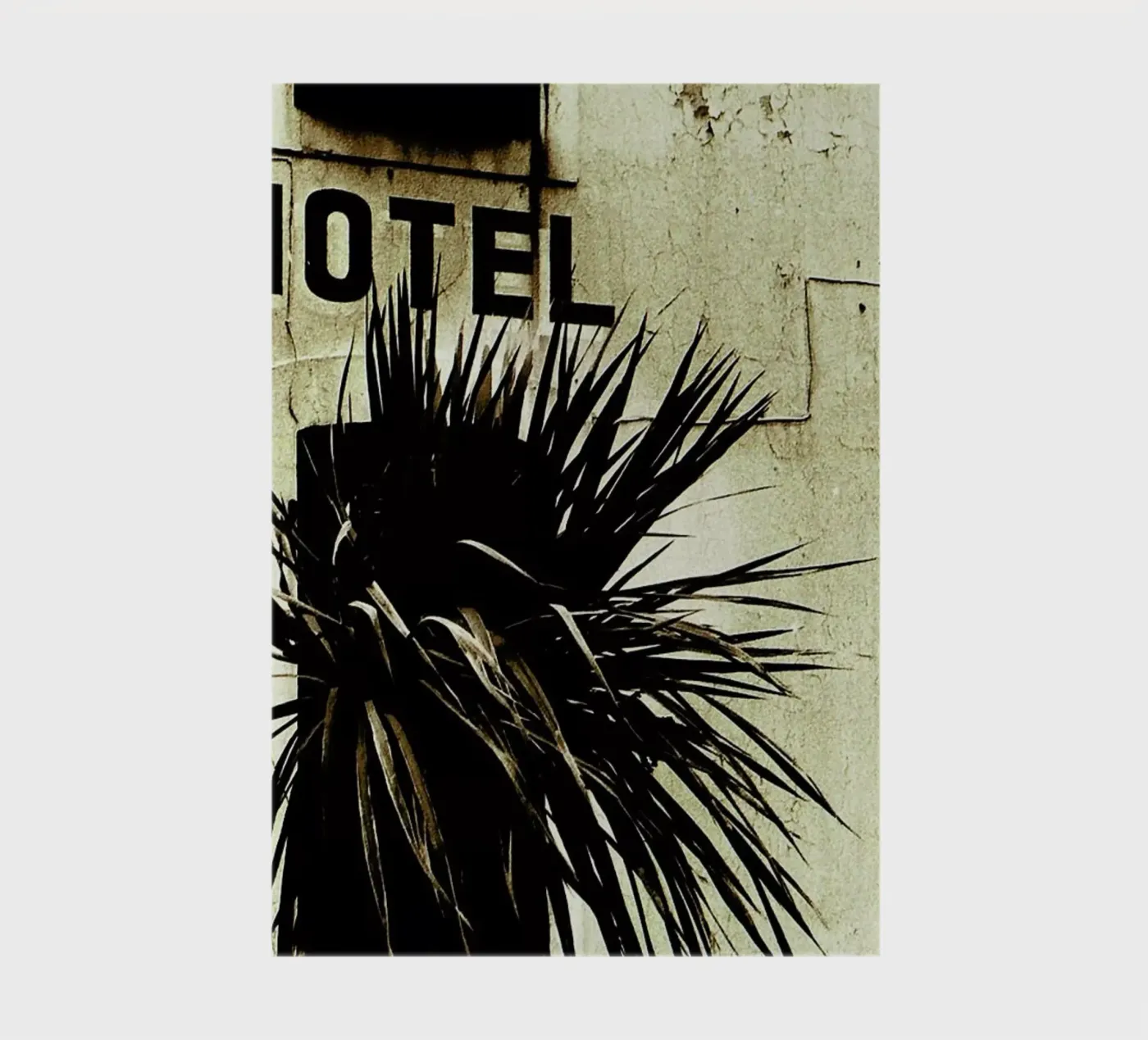 Fragile Notizbuch von Sophie Etchart