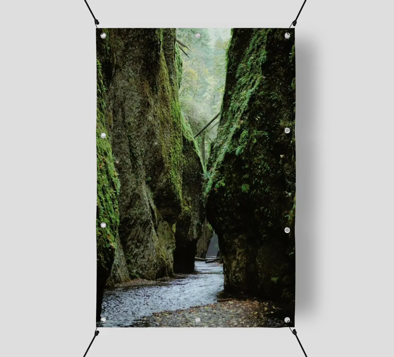 Oneonta Gorge telo in pvc da Kevin Russ