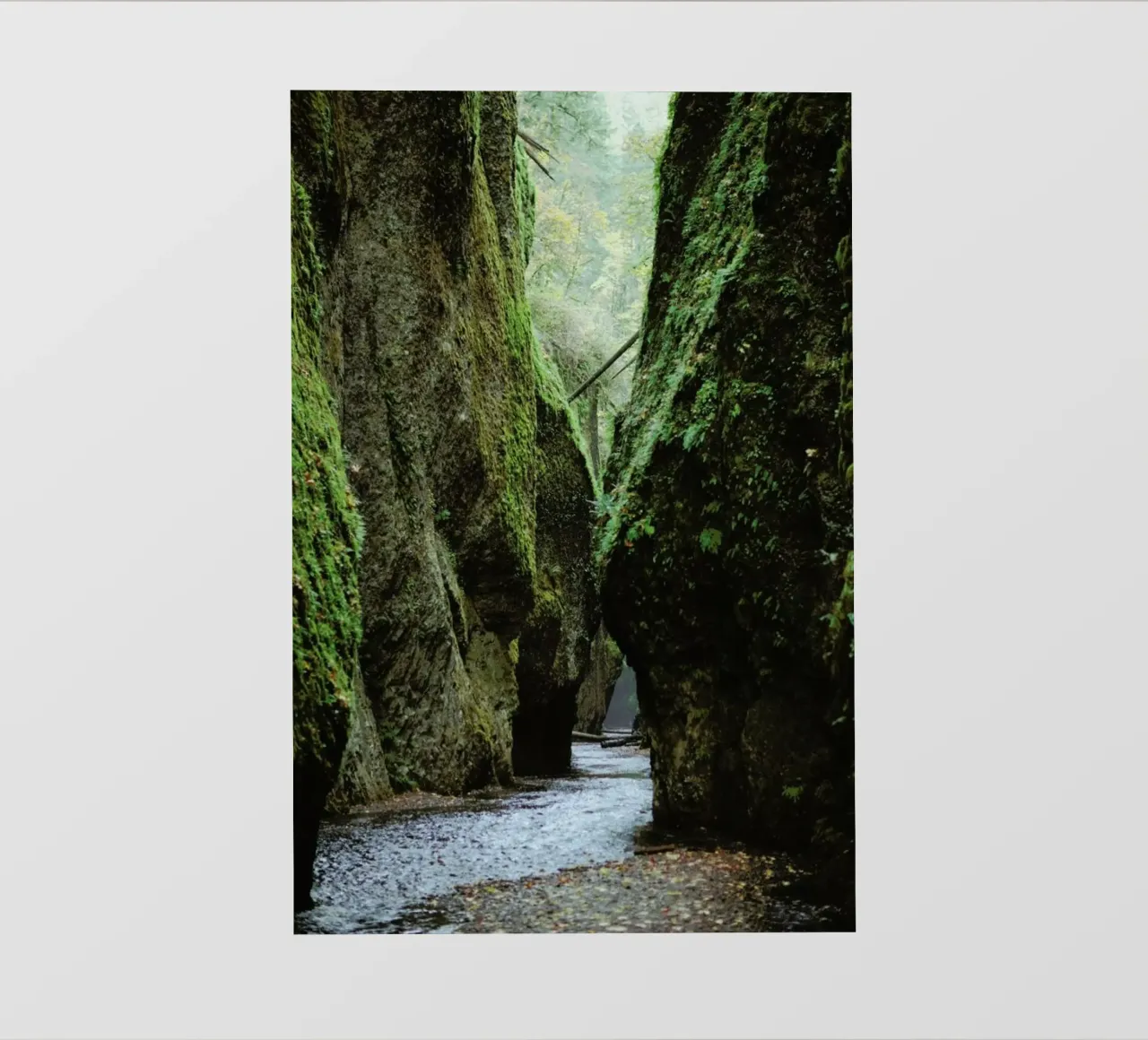 Oneonta Gorge telo in pvc da Kevin Russ