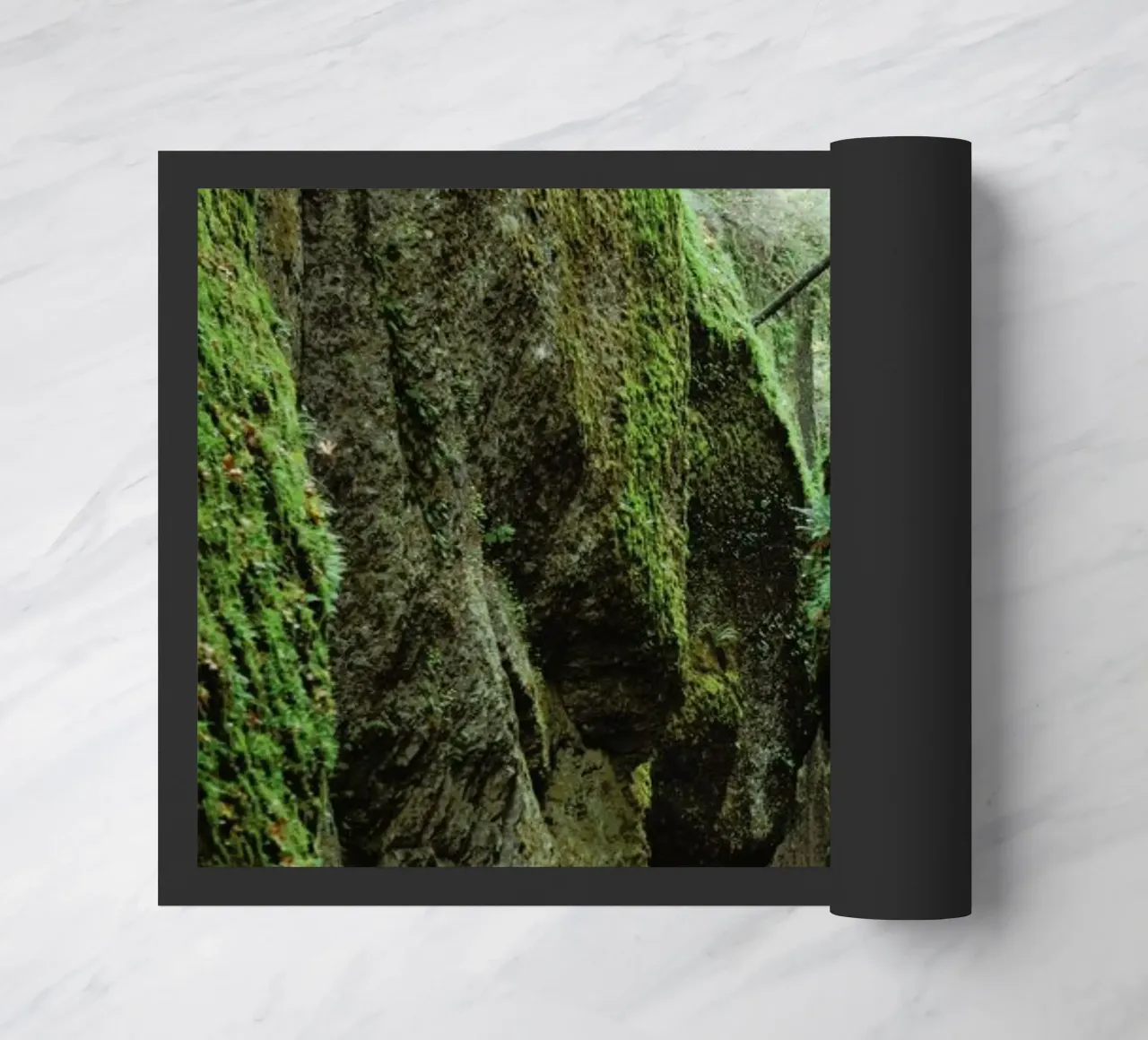 Oneonta Gorge zerbino da Kevin Russ