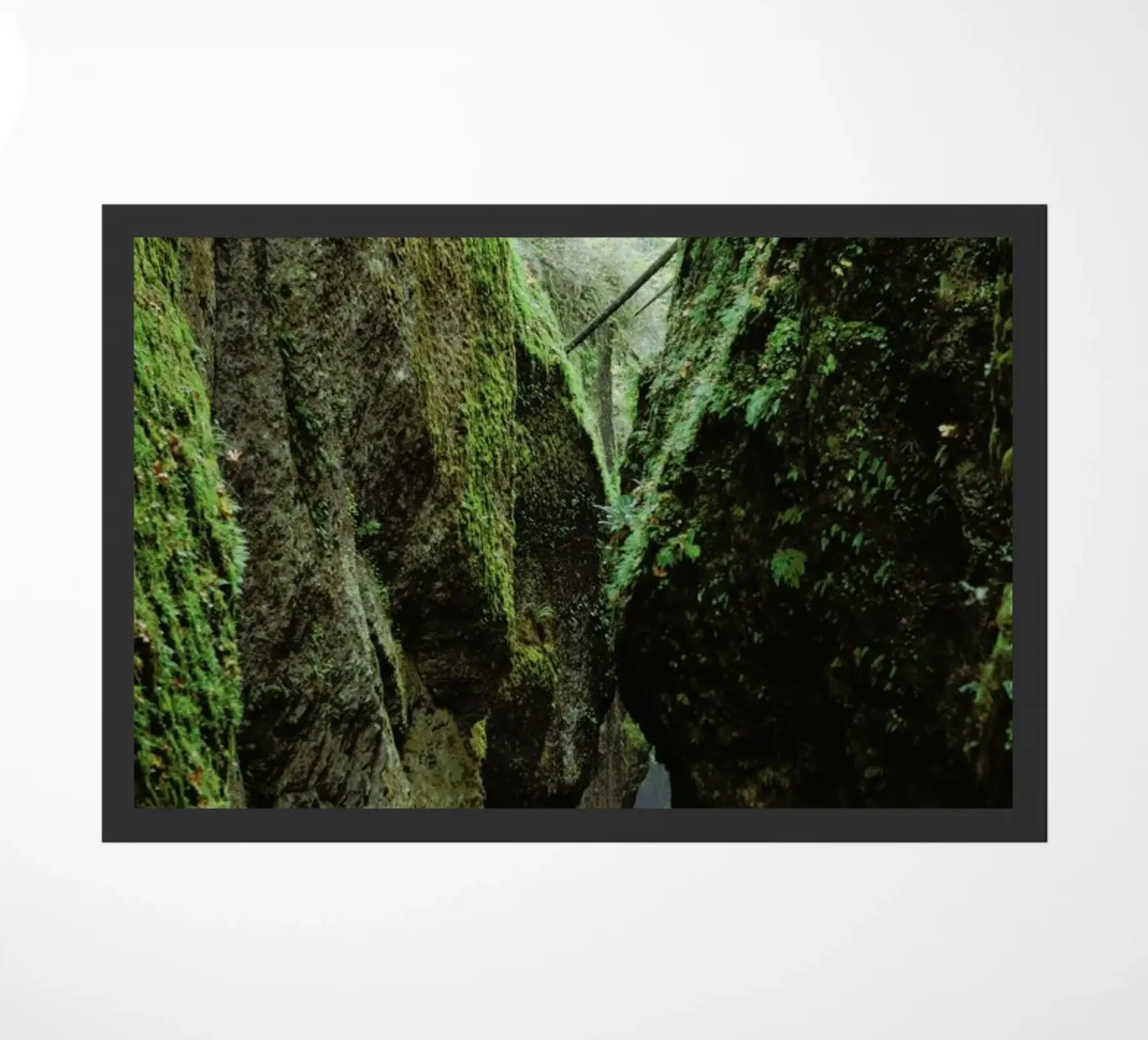 Oneonta Gorge zerbino da Kevin Russ