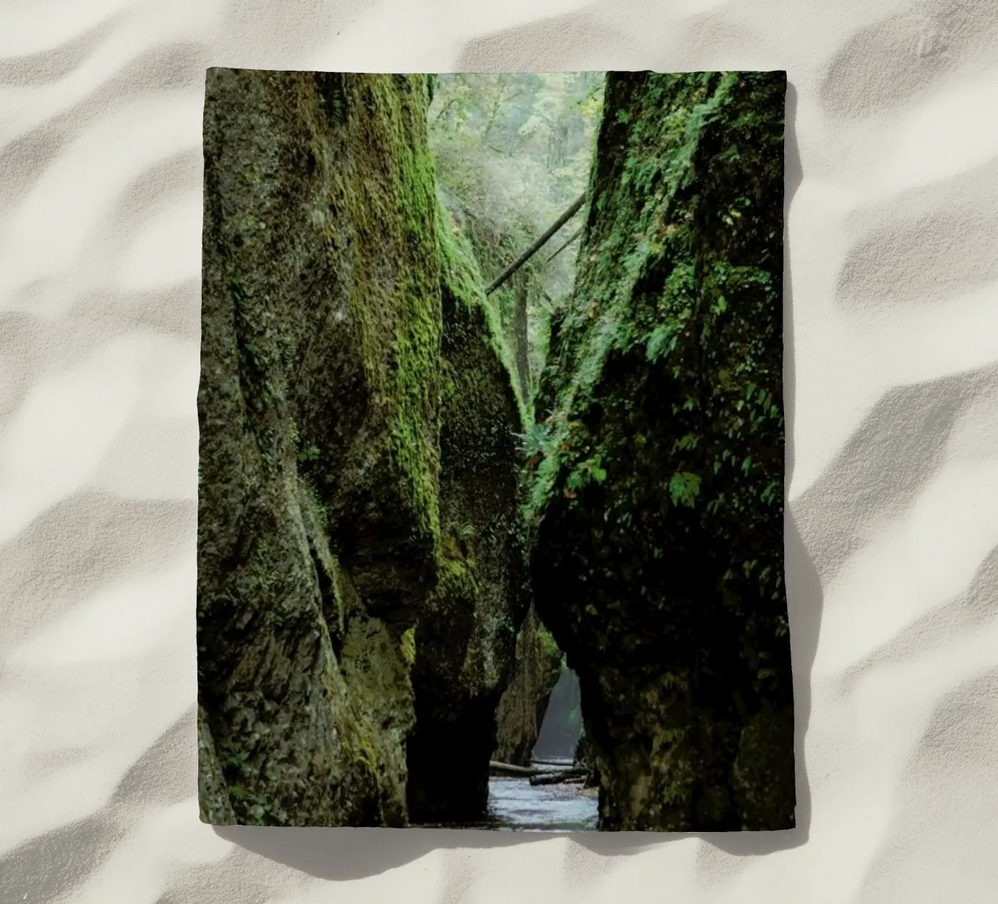 Oneonta Gorge telo mare da Kevin Russ