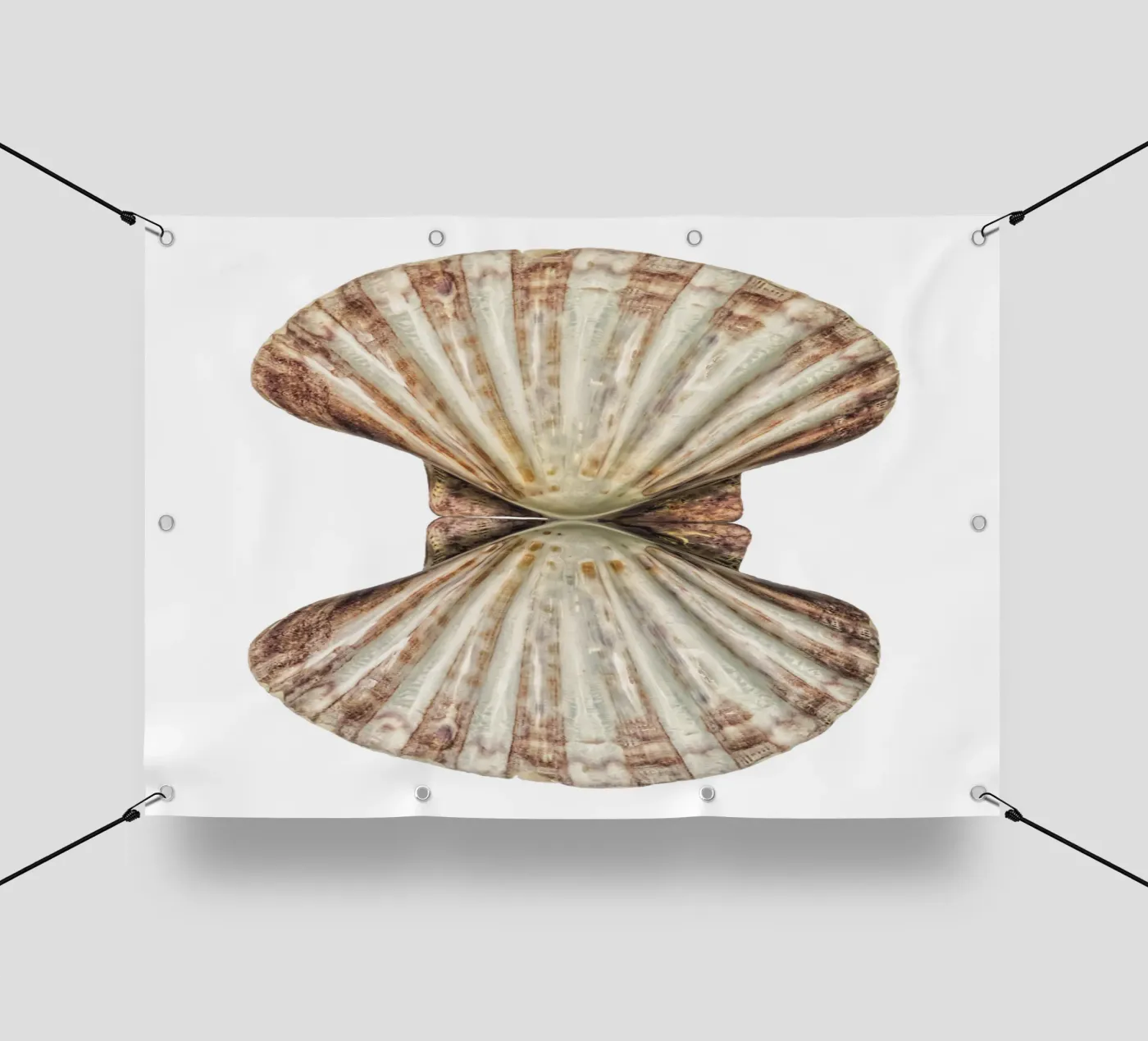 Conchiglia di Venere telo in pvc da Curious Collections by Marielle Leenders