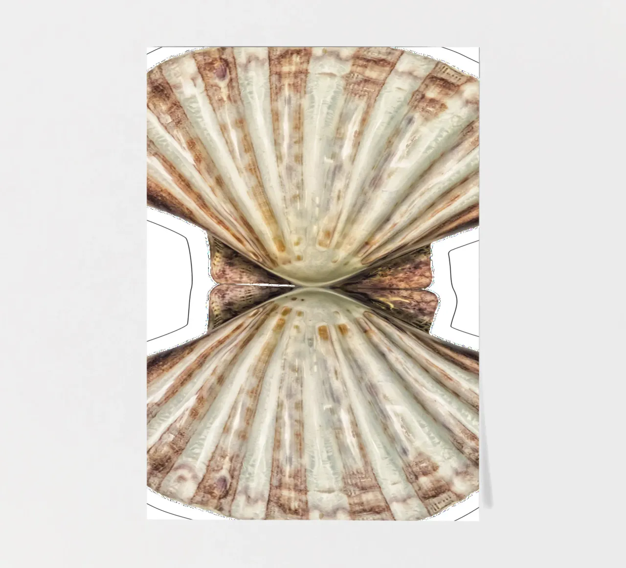 Venus Shell sticker sheet by Curious Collections by Marielle Leenders