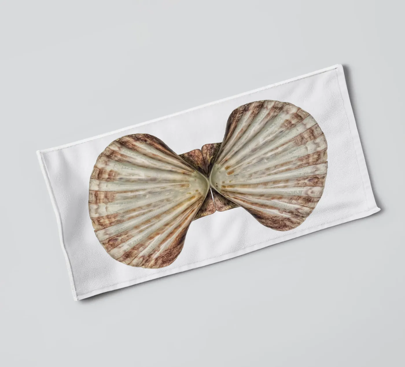 Venus Shell towel by Curious Collections by Marielle Leenders