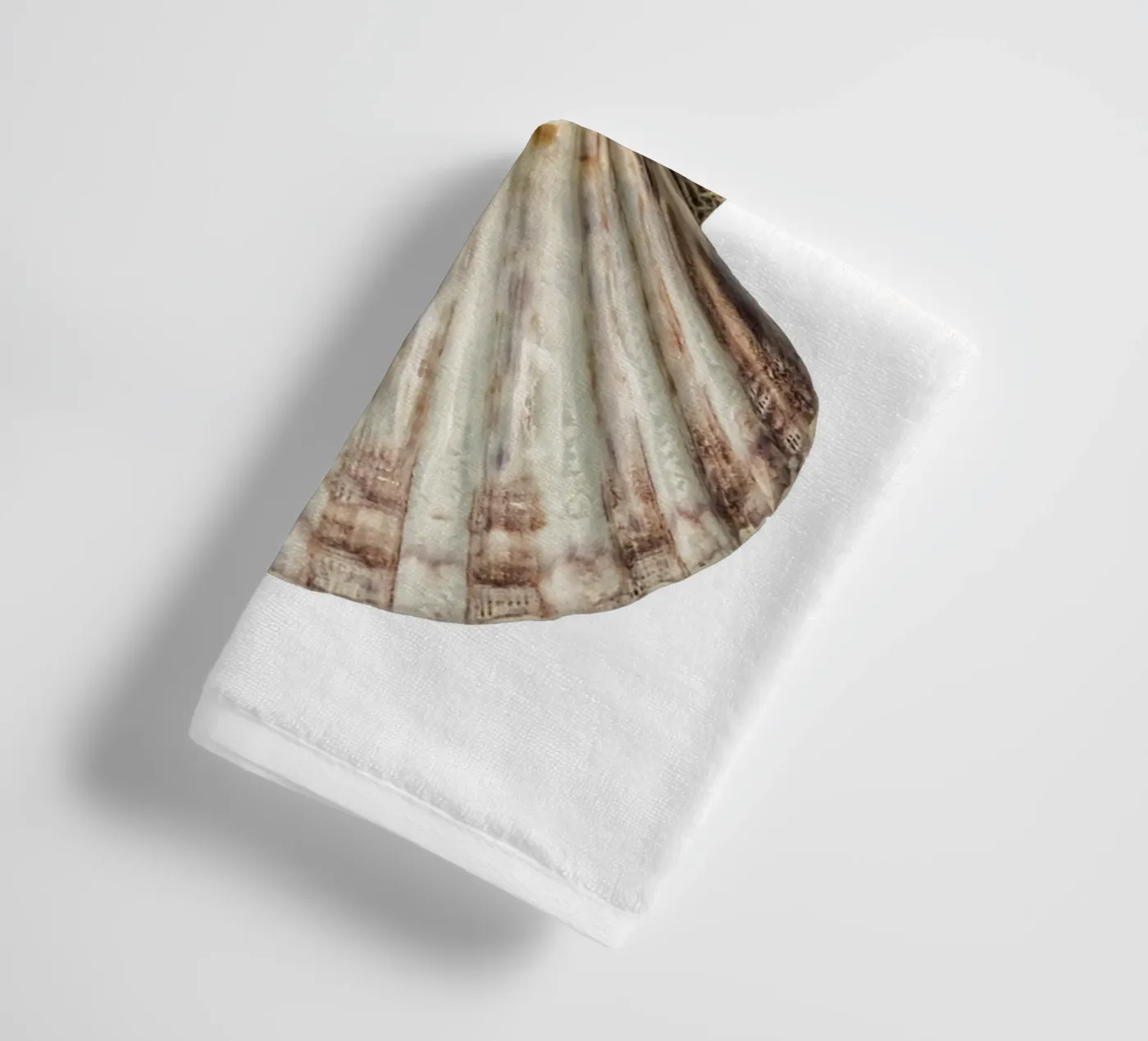 Venus Shell towel by Curious Collections by Marielle Leenders