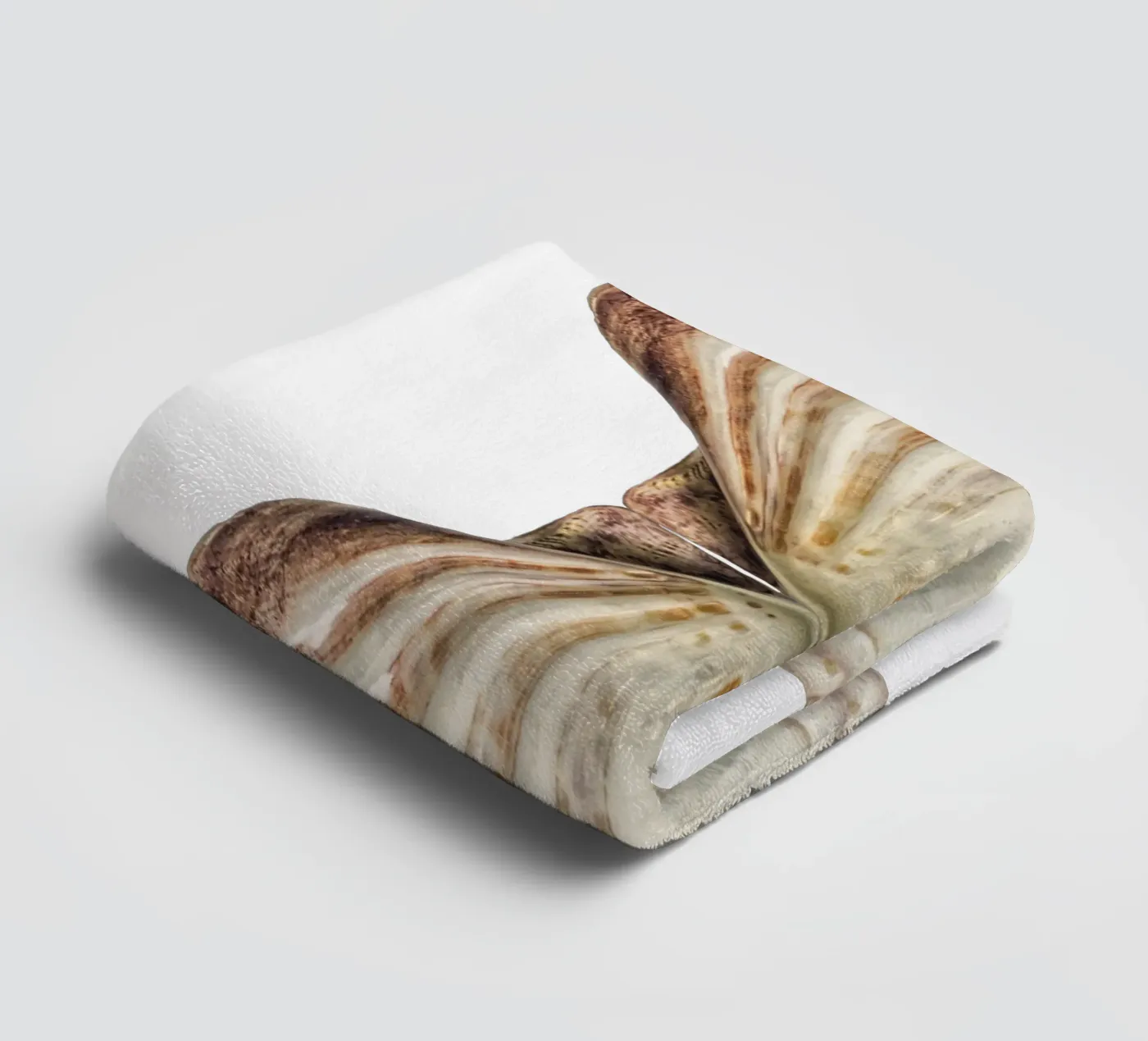 Venus Shell towel by Curious Collections by Marielle Leenders