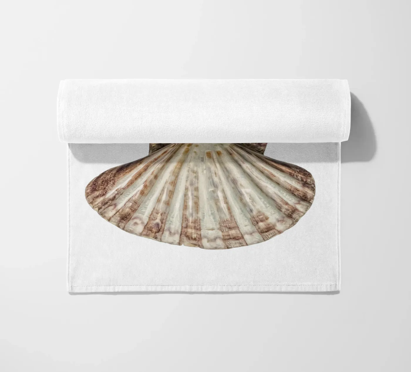 Conchiglia di Venere telo mare da Curious Collections by Marielle Leenders