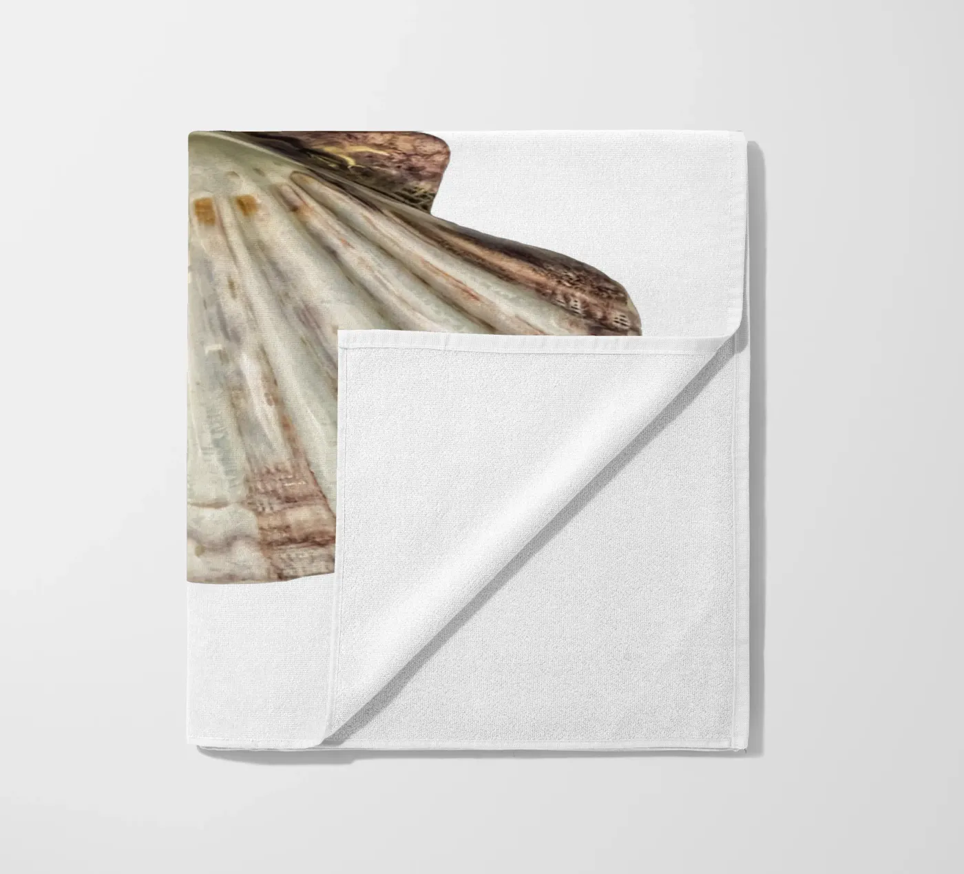 Conchiglia di Venere telo mare da Curious Collections by Marielle Leenders