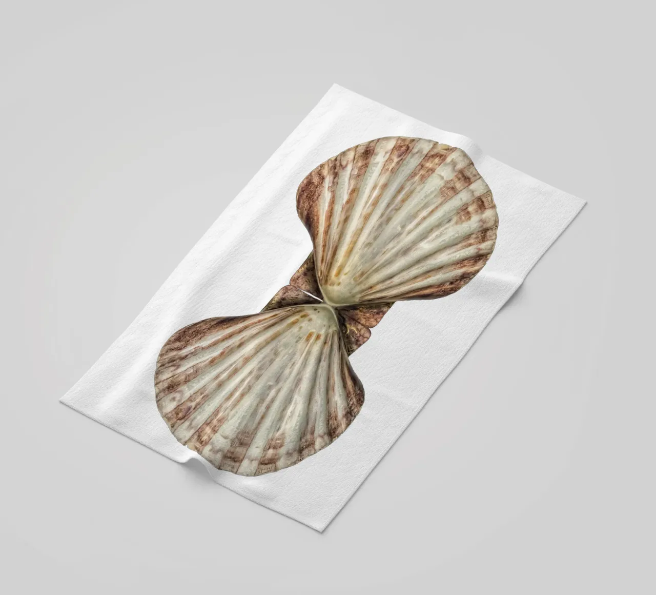 Venus Shell beach towel by Curious Collections by Marielle Leenders