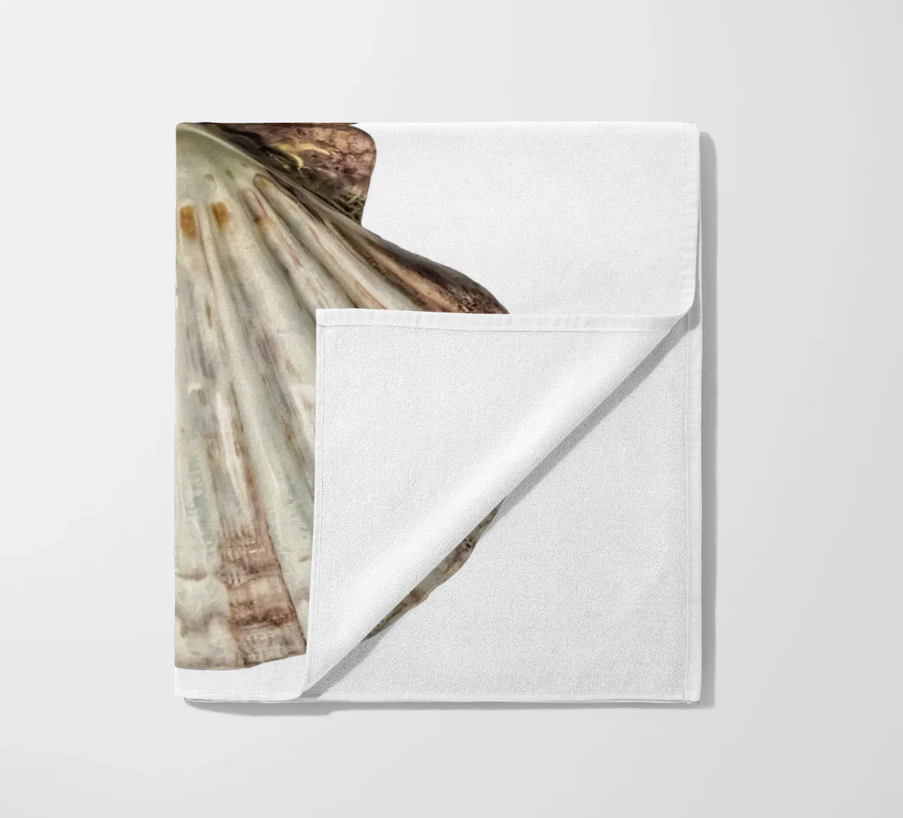 Venus Shell beach towel by Curious Collections by Marielle Leenders