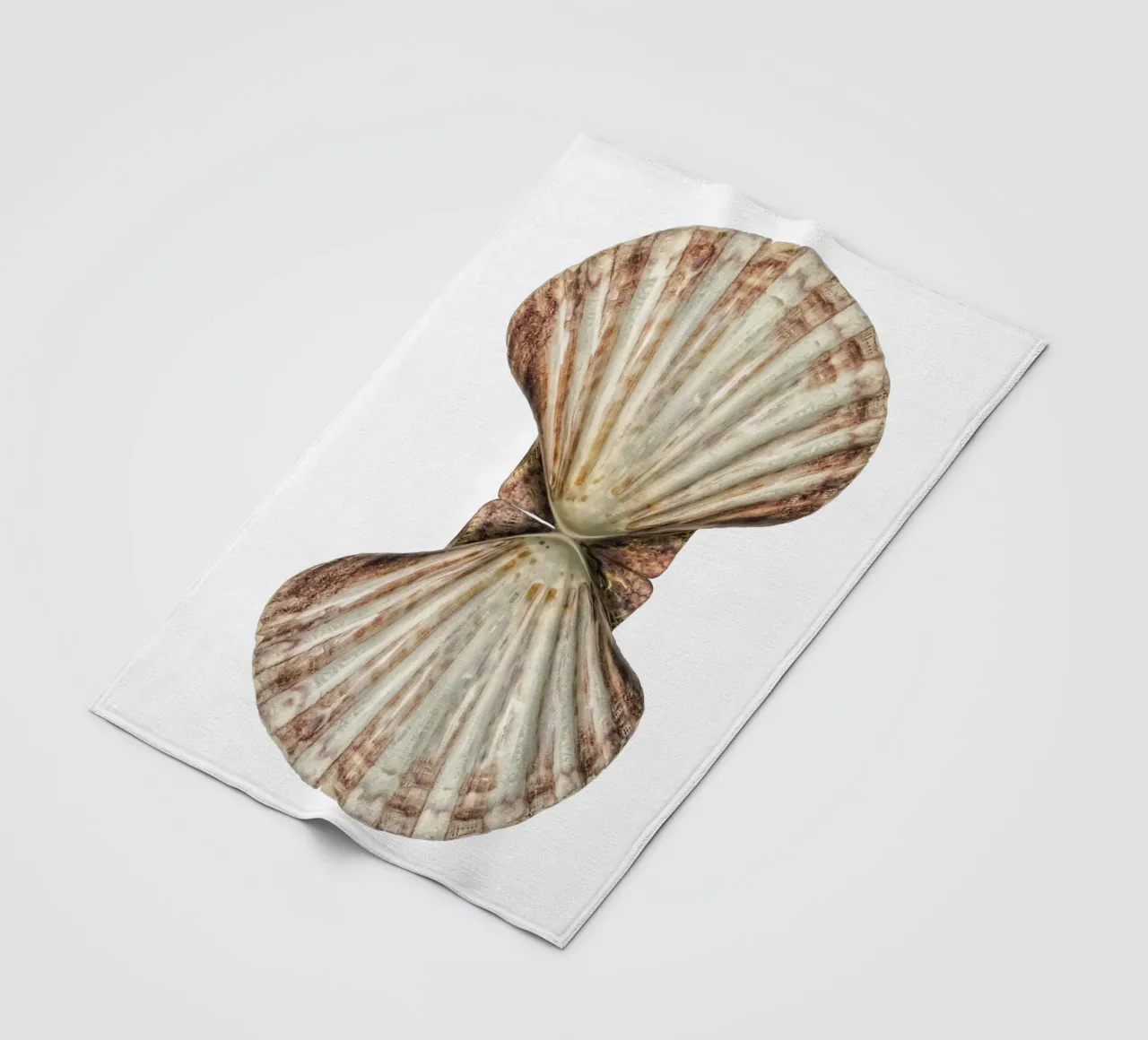 Venusmuschel Fleecedecke von Curious Collections by Marielle Leenders