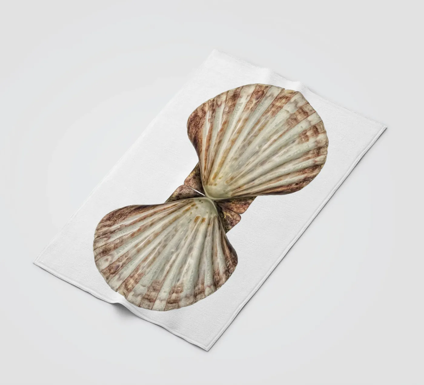 Venusschelp fleecedeken van Curious Collections by Marielle Leenders