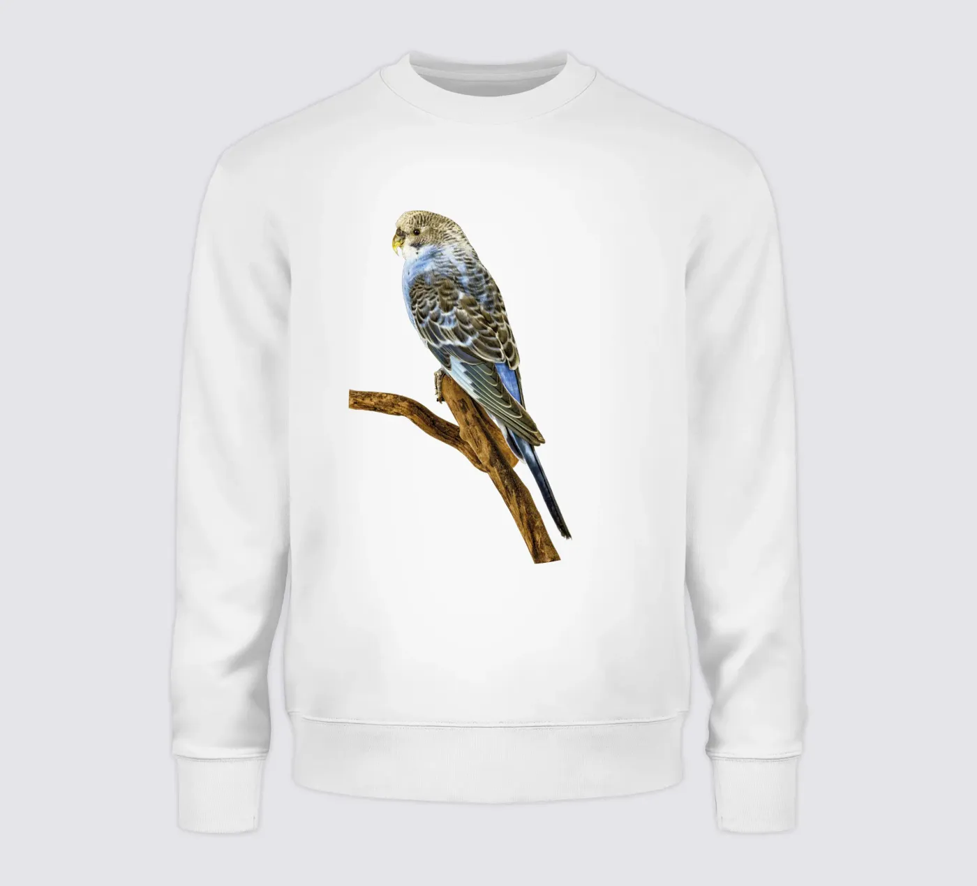 Parakeets sweatshirt by Curious Collections by Marielle Leenders