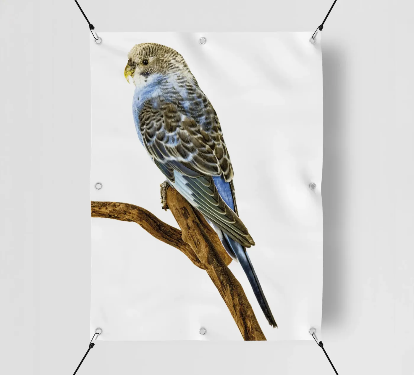 Parakeets pvc cover by Curious Collections by Marielle Leenders