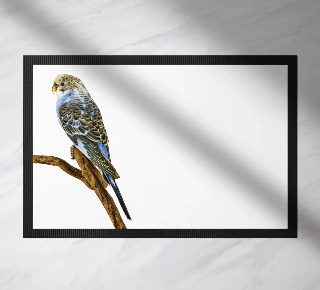 Parakeets doormat by Curious Collections by Marielle Leenders