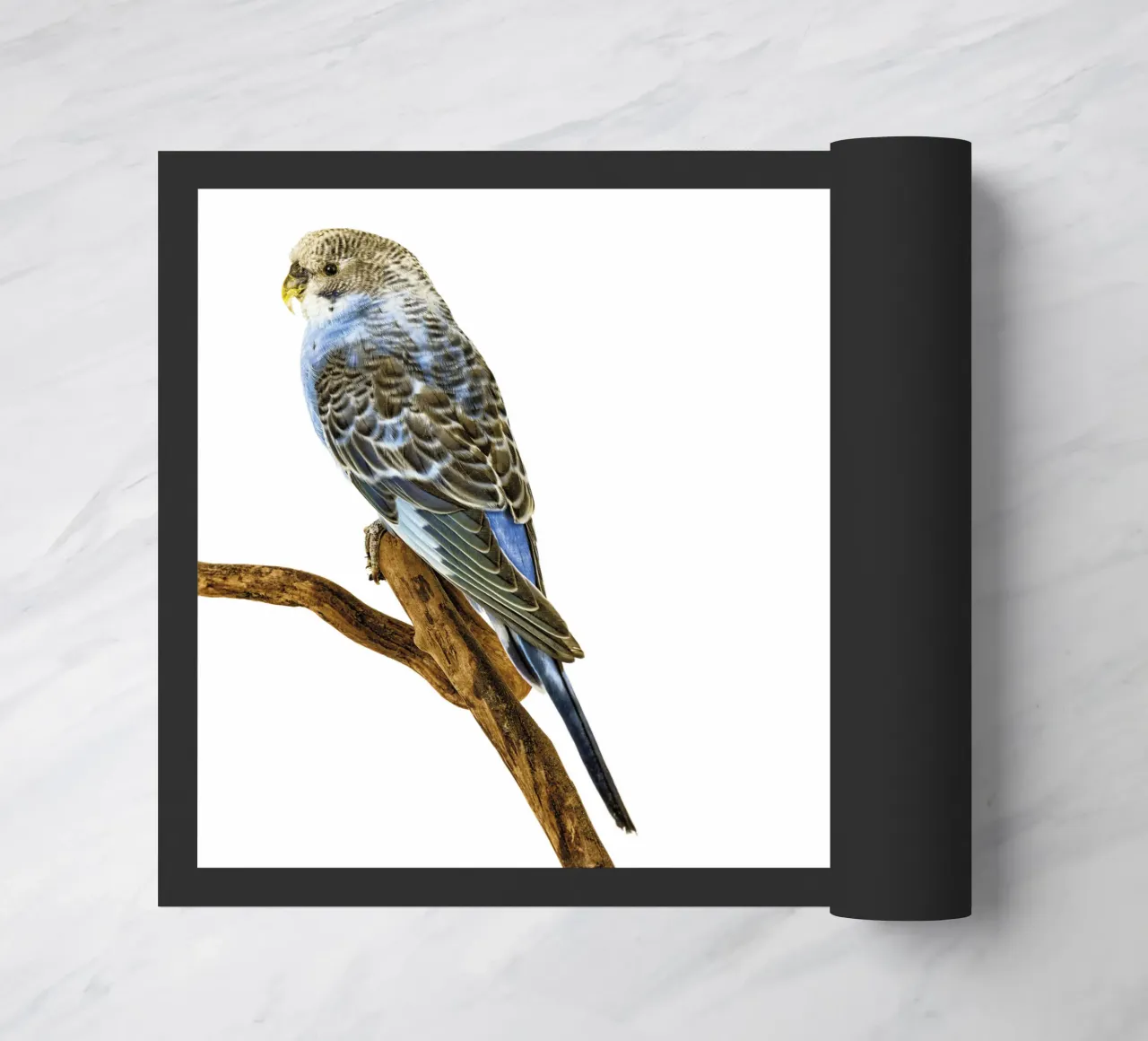 Parakeets doormat by Curious Collections by Marielle Leenders